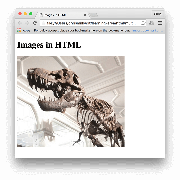 Une image de base d'un dinosaure, intégrée dans un navigateur, avec « Images en HTML » écrit au-dessus